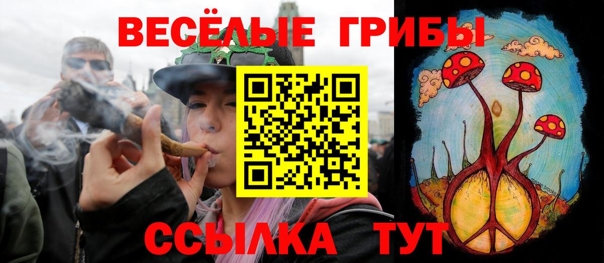 Галлюциногенные грибы Magic Shrooms  Вход с VPN  Дальнегорск  закладка  Псилоцибиновые грибы GOLDEN TEACHER 